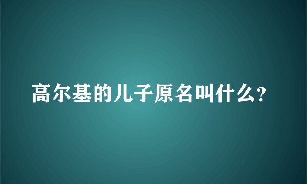 高尔基的儿子原名叫什么？