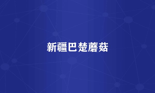 新疆巴楚蘑菇