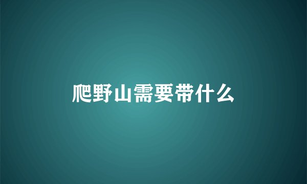 爬野山需要带什么