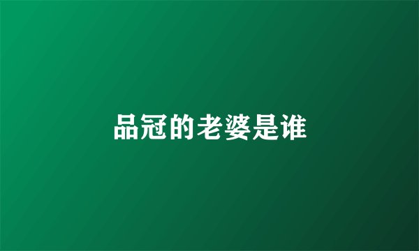 品冠的老婆是谁