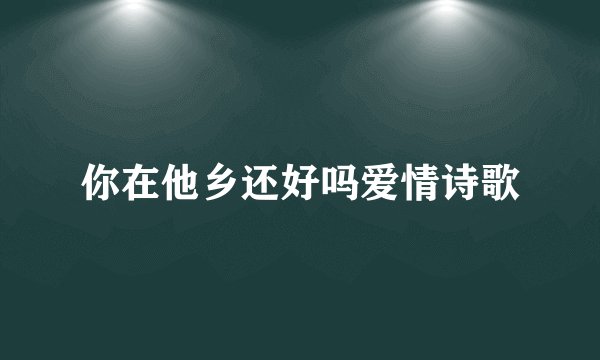 你在他乡还好吗爱情诗歌