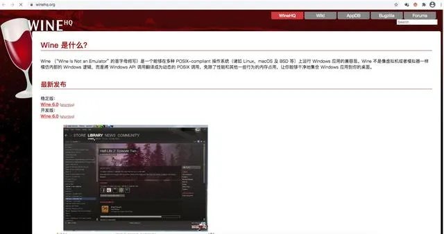 Wine6.0正式版