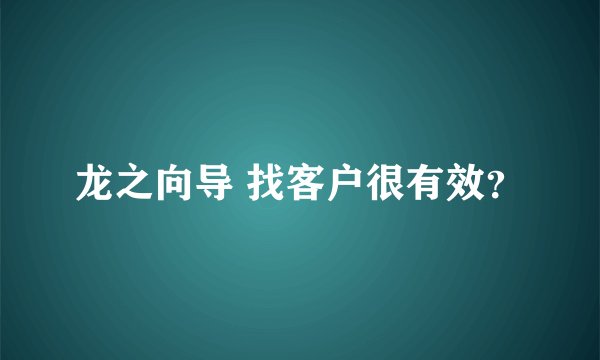 龙之向导 找客户很有效?