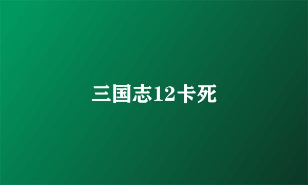 三国志12卡死