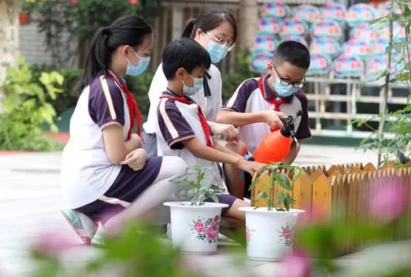 9月新学期,劳动课正式“升级”为中小学的独立课程,此举能解决哪些问题?