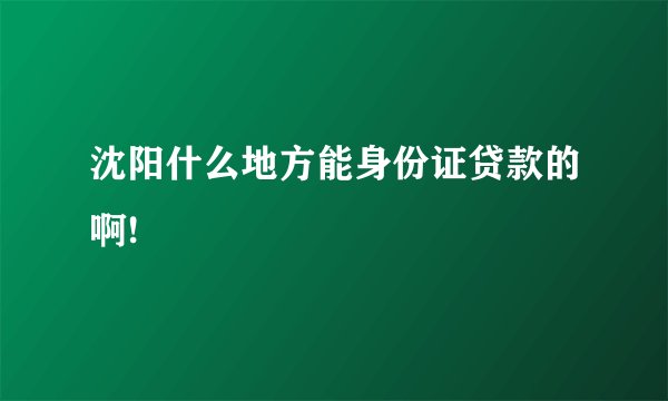 沈阳什么地方能身份证贷款的啊!