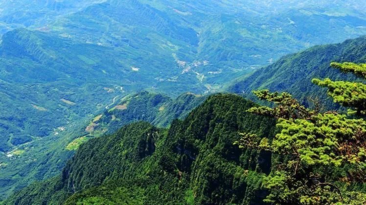 四大名山是哪四山 中国著名的四大名山是什么