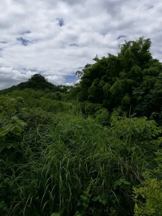 “热热热,凉风去哪了”,你能对出下联吗?