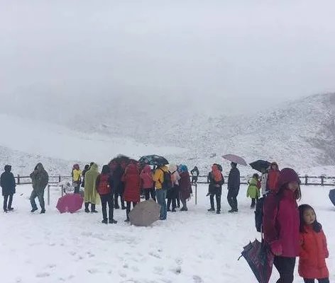 四川阿坝达古冰山景区大雪纷飞情景如何?