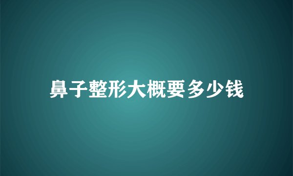 鼻子整形大概要多少钱