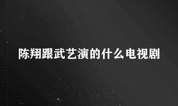 陈翔跟武艺演的什么电视剧