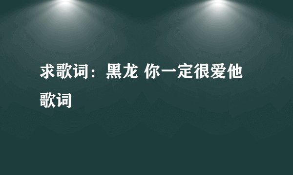 求歌词：黑龙 你一定很爱他 歌词