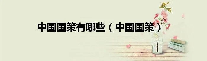 中国国策有哪些（中国国策）