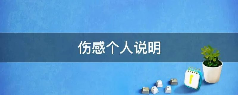 伤感个人说明
