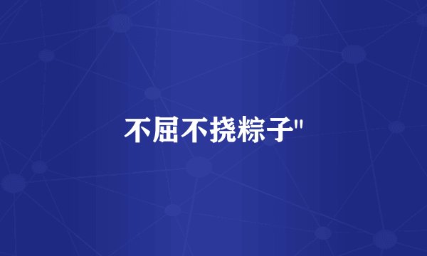 不屈不挠粽子