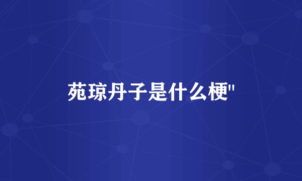 苑琼丹子是什么梗