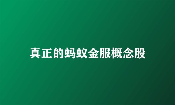 真正的蚂蚁金服概念股