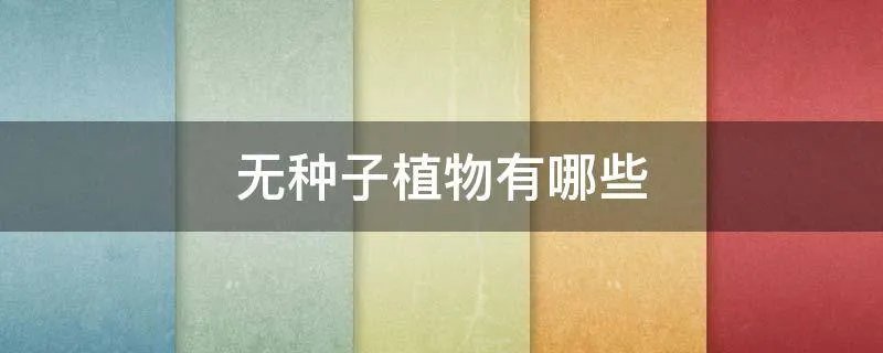 无种子植物有哪些