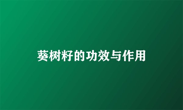 葵树籽的功效与作用