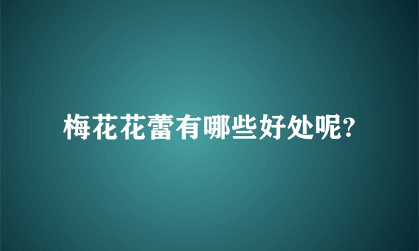 梅花花蕾有哪些好处呢?