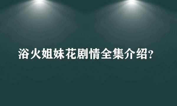 浴火姐妹花剧情全集介绍？