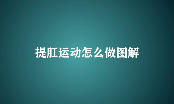 提肛运动怎么做图解