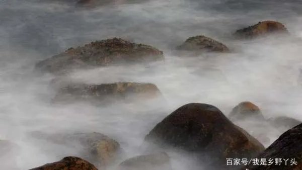 巨毋霸究竟是什么，在历史上真的存在过吗？