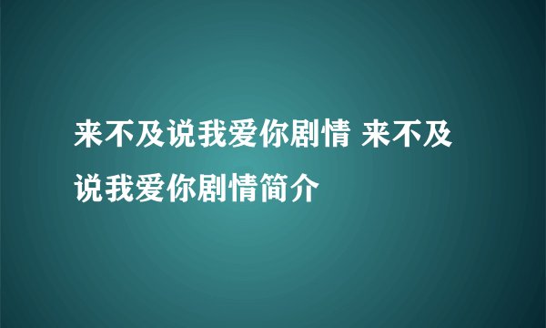 来不及说我爱你剧情 来不及说我爱你剧情简介