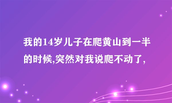 我的14岁儿子在爬黄山到一半的时候,突然对我说爬不动了,