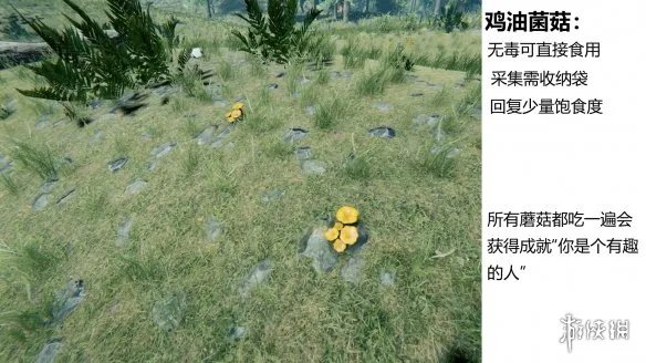 《森林》游戏植物有什么 the forest植物图鉴分享