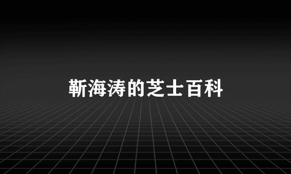 靳海涛的芝士百科