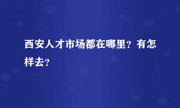 西安人才市场都在哪里？有怎样去？