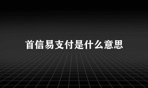 首信易支付是什么意思