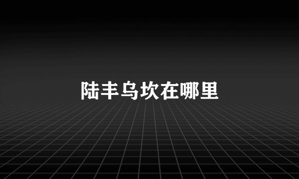 陆丰乌坎在哪里