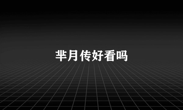 芈月传好看吗
