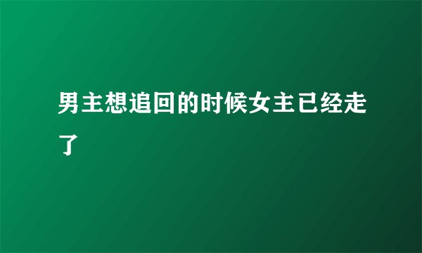 男主想追回的时候女主已经走了