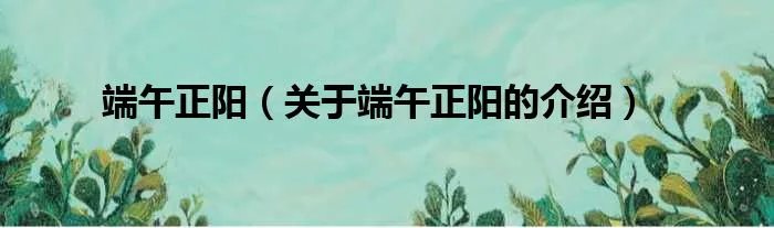 端午正阳(关于端午正阳的介绍)