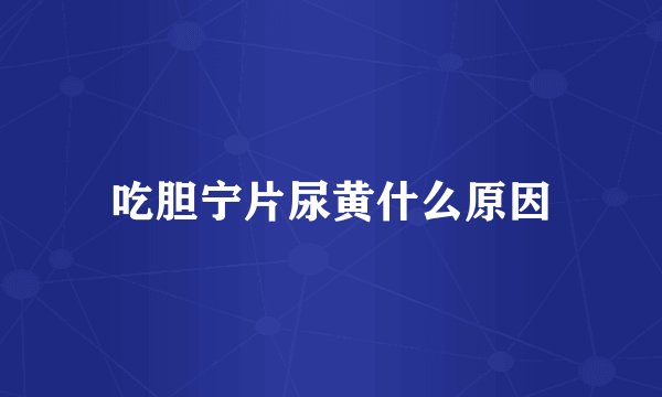 吃胆宁片尿黄什么原因