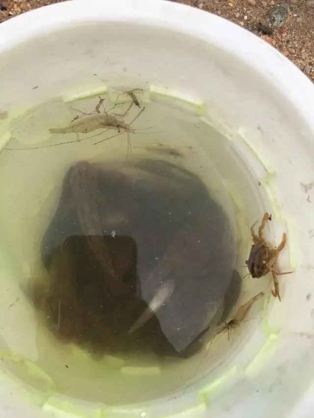 葫芦岛的东戴河和北戴河有啥关系吗?