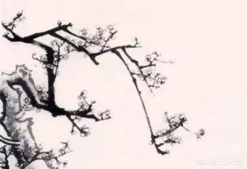 国画梅花图解教程?