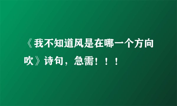 《我不知道风是在哪一个方向吹》诗句，急需！！！