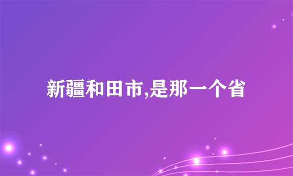 新疆和田市,是那一个省