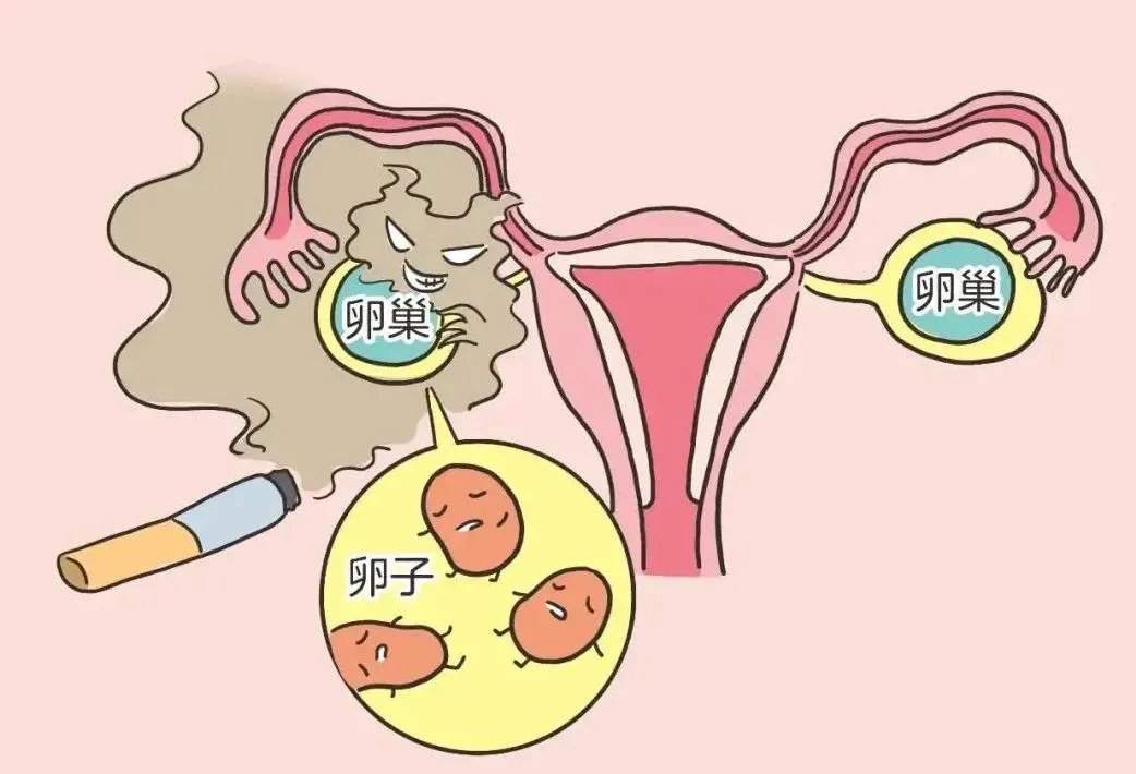 济南供卵试管-卵巢早衰哪里可以做供卵试管? 济南军区960医院供卵试管成功率如何?