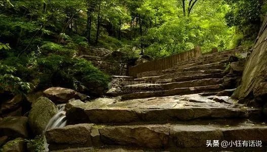 小溪泛尽却山行的“却”是什么意思?