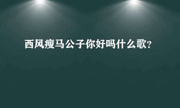 西风瘦马公子你好吗什么歌？