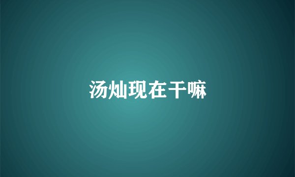 汤灿现在干嘛