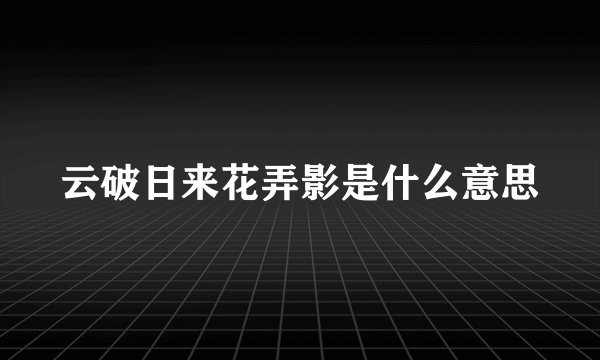 云破日来花弄影是什么意思