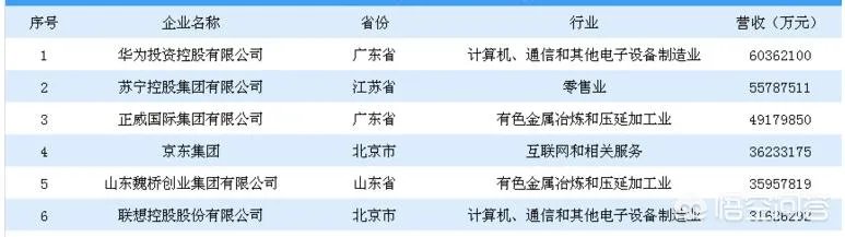 中国最大的私人企业?