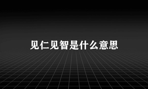 见仁见智是什么意思