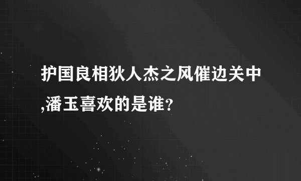 护国良相狄人杰之风催边关中,潘玉喜欢的是谁？